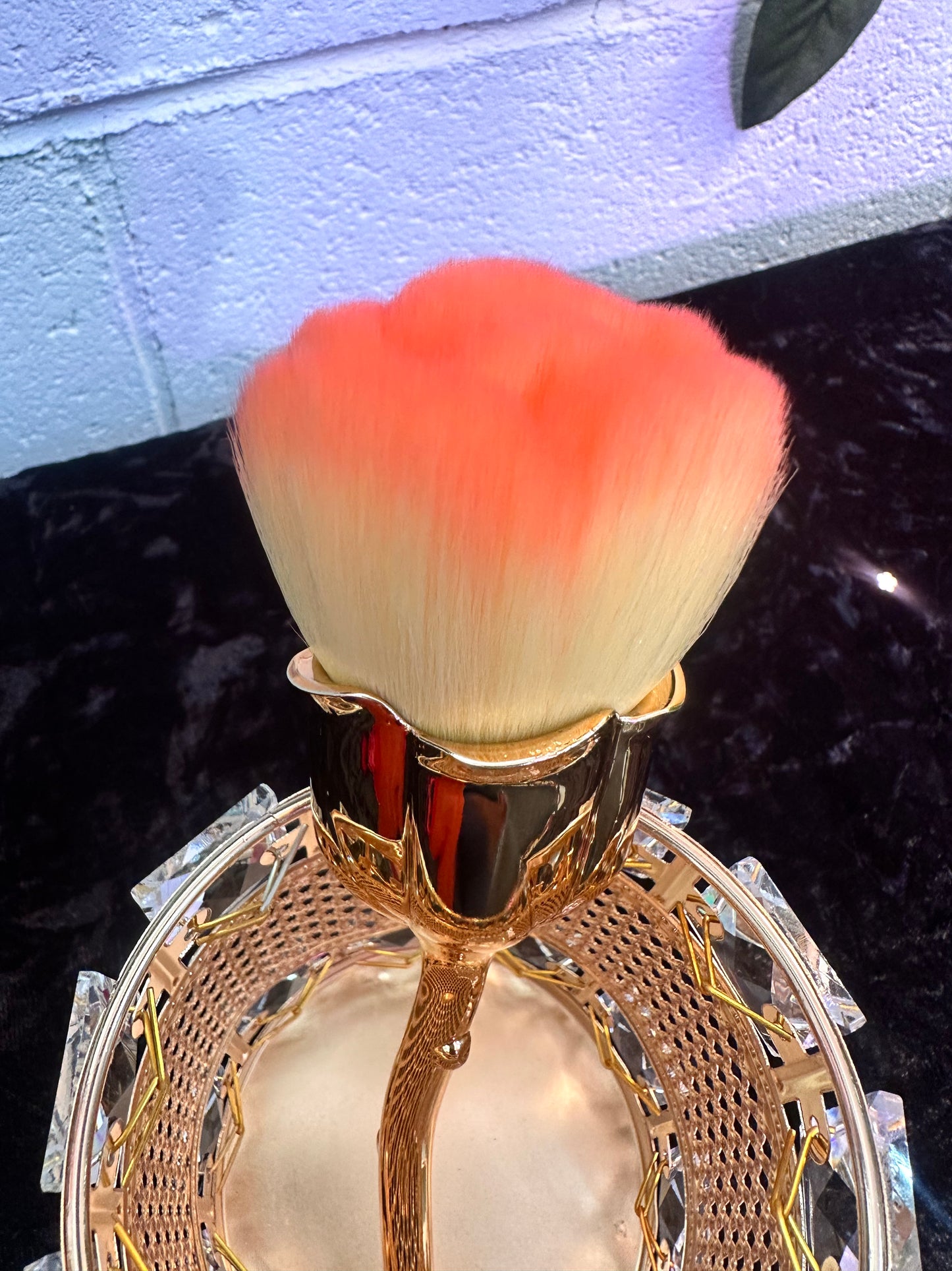 Rose Powder Brush Set